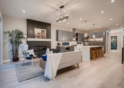 a Living Room with attached kitchen area