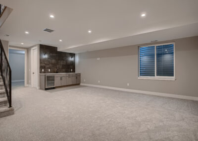 Lower Level Recreation Room of a house